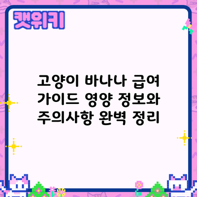 고양이 바나나 급여 가이드: 영양 정보와 주의사항 완벽 정리