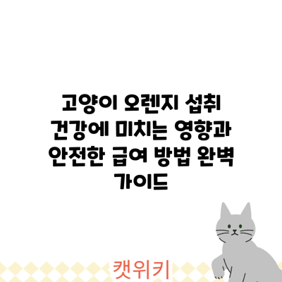 고양이 오렌지 섭취: 건강에 미치는 영향과 안전한 급여 방법 완벽 가이드