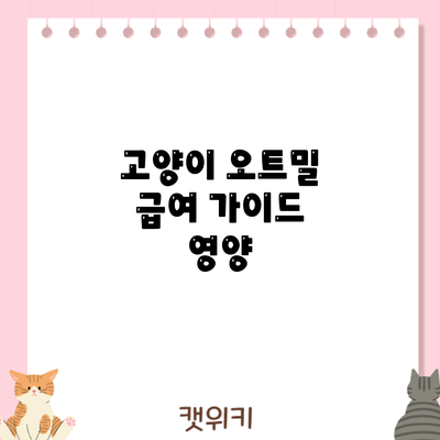 고양이 오트밀 급여 가이드: 영양