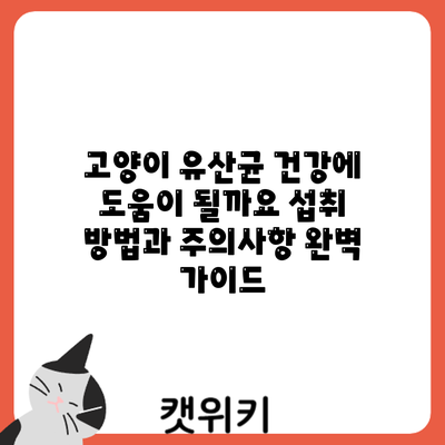 고양이 유산균: 건강에 도움이 될까요? 섭취 방법과 주의사항 완벽 가이드
