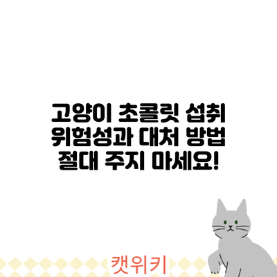 고양이 초콜릿 섭취 위험성과 대처 방법: 절대 주지 마세요!