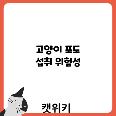 고양이 포도 섭취: 위험성