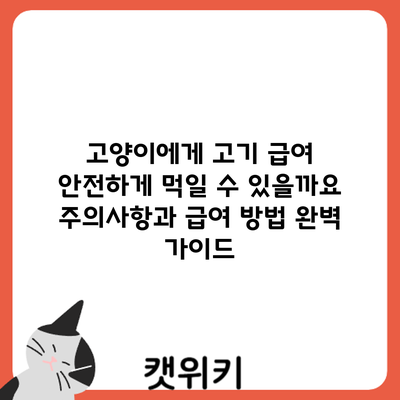 고양이에게 고기 급여: 안전하게 먹일 수 있을까요? 주의사항과 급여 방법 완벽 가이드