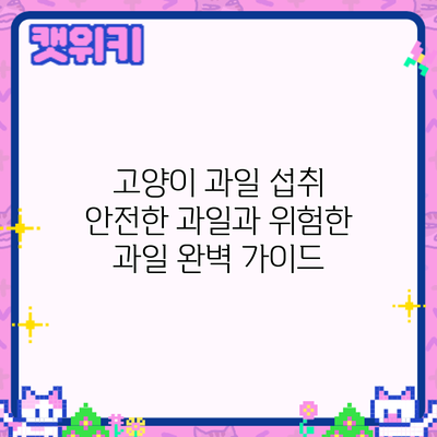 고양이 과일 섭취: 안전한 과일과 위험한 과일 완벽 가이드