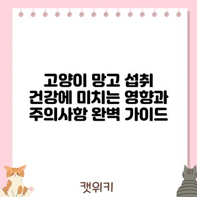 고양이 망고 섭취: 건강에 미치는 영향과 주의사항 완벽 가이드