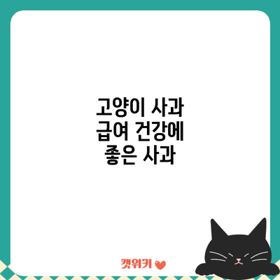 고양이 사과 급여: 건강에 좋은 사과