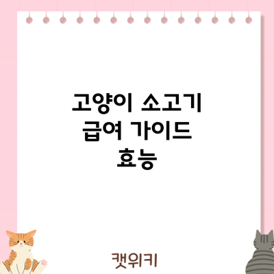 고양이 소고기 급여 가이드: 효능