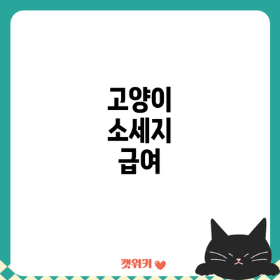 고양이 소세지 급여