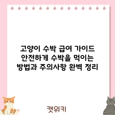 고양이 수박 급여 가이드: 안전하게 수박을 먹이는 방법과 주의사항 완벽 정리
