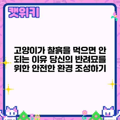 고양이가 찰흙을 먹으면 안 되는 이유: 당신의 반려묘를 위한 안전한 환경 조성하기