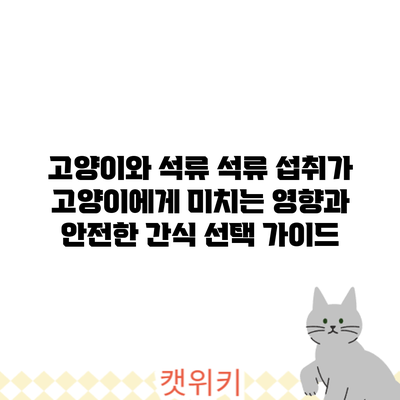 고양이와 석류: 석류 섭취가 고양이에게 미치는 영향과 안전한 간식 선택 가이드