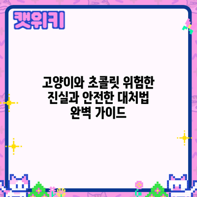 고양이와 초콜릿: 위험한 진실과 안전한 대처법 완벽 가이드