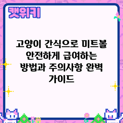 고양이 간식으로 미트볼? 안전하게 급여하는 방법과 주의사항 완벽 가이드