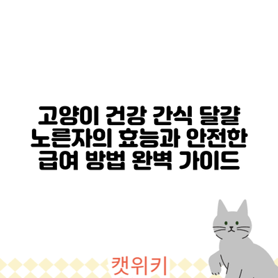 고양이 건강 간식: 달걀 노른자의 효능과 안전한 급여 방법 완벽 가이드