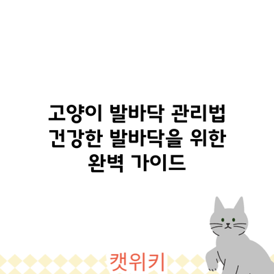 고양이 발바닥 관리법: 건강한 발바닥을 위한 완벽 가이드