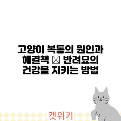 고양이 복통의 원인과 해결책 – 반려묘의 건강을 지키는 방법