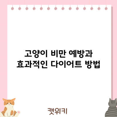 고양이 비만 예방과 효과적인 다이어트 방법