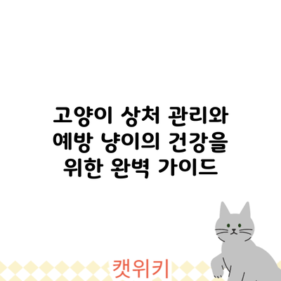 고양이 상처 관리와 예방: 냥이의 건강을 위한 완벽 가이드