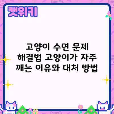 고양이 수면 문제 해결법: 고양이가 자주 깨는 이유와 대처 방법