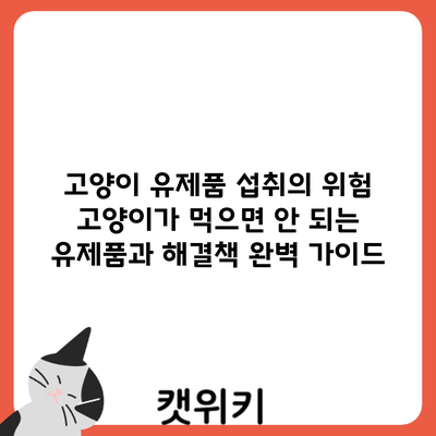 고양이 유제품 섭취의 위험: 고양이가 먹으면 안 되는 유제품과 해결책 완벽 가이드