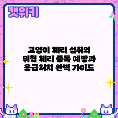 고양이 체리 섭취의 위험: 체리 중독 예방과 응급처치 완벽 가이드
