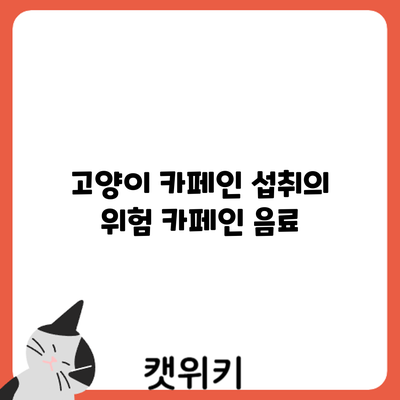 고양이 카페인 섭취의 위험: 카페인 음료