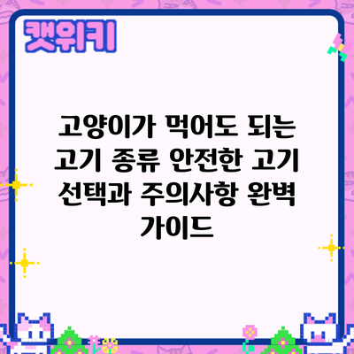고양이가 먹어도 되는 고기 종류: 안전한 고기 선택과 주의사항 완벽 가이드