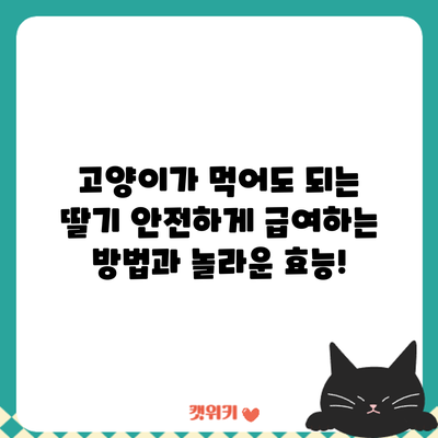 고양이가 먹어도 되는 딸기? 안전하게 급여하는 방법과 놀라운 효능!