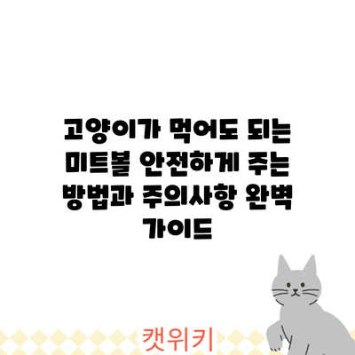 고양이가 먹어도 되는 미트볼? 안전하게 주는 방법과 주의사항 완벽 가이드