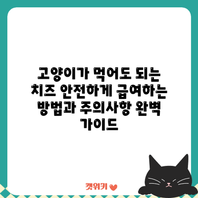 고양이가 먹어도 되는 치즈? 안전하게 급여하는 방법과 주의사항 완벽 가이드