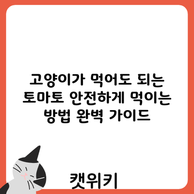 고양이가 먹어도 되는 토마토? 안전하게 먹이는 방법 완벽 가이드