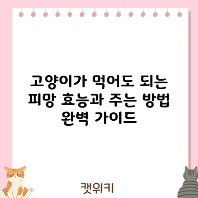 고양이가 먹어도 되는 피망? 효능과 주는 방법 완벽 가이드