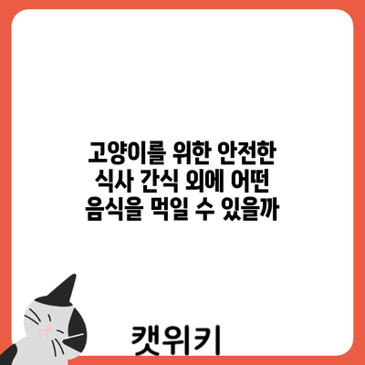 고양이를 위한 안전한 식사: 간식 외에 어떤 음식을 먹일 수 있을까?