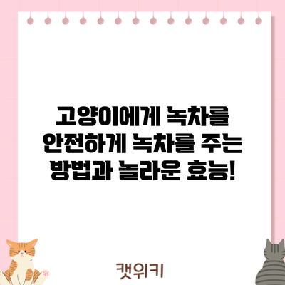 고양이에게 녹차를? 안전하게 녹차를 주는 방법과 놀라운 효능!