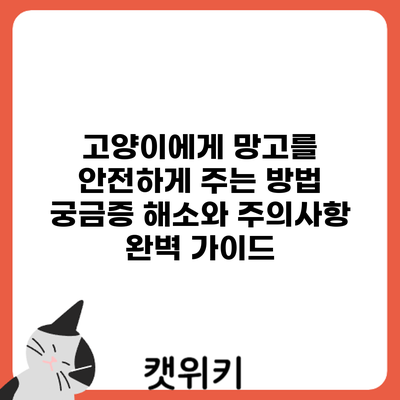 고양이에게 망고를 안전하게 주는 방법: 궁금증 해소와 주의사항 완벽 가이드