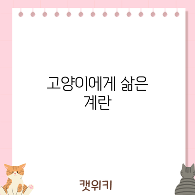 고양이에게 삶은 계란
