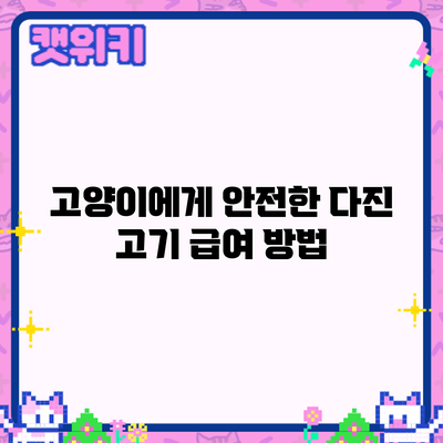 고양이에게 안전한 다진 고기: 급여 방법