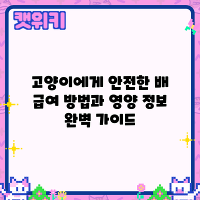 고양이에게 안전한 배: 급여 방법과 영양 정보 완벽 가이드