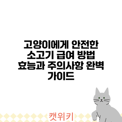 고양이에게 안전한 소고기 급여 방법: 효능과 주의사항 완벽 가이드