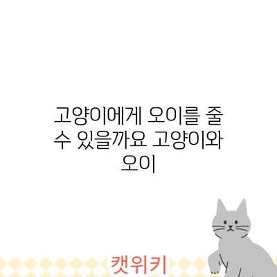 고양이에게 오이를 줄 수 있을까요? 고양이와 오이