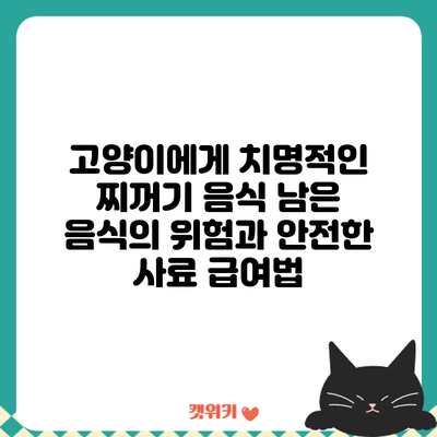 고양이에게 치명적인 찌꺼기 음식: 남은 음식의 위험과 안전한 사료 급여법