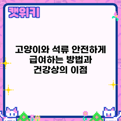 고양이와 석류: 안전하게 급여하는 방법과 건강상의 이점