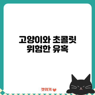 고양이와 초콜릿: 위험한 유혹