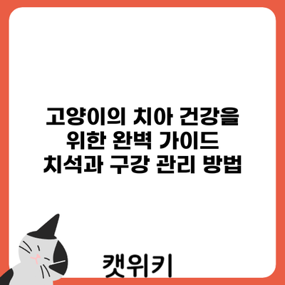 고양이의 치아 건강을 위한 완벽 가이드: 치석과 구강 관리 방법
