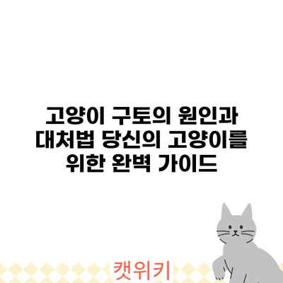고양이 구토의 원인과 대처법: 당신의 고양이를 위한 완벽 가이드