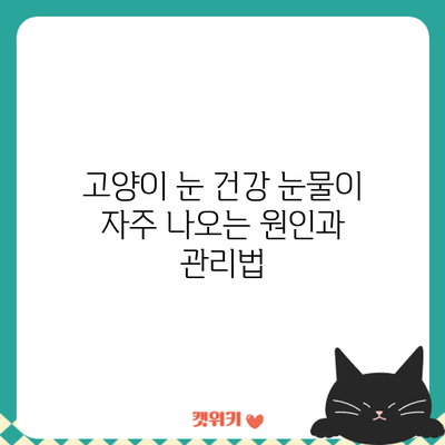 고양이 눈 건강: 눈물이 자주 나오는 원인과 관리법