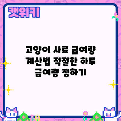 고양이 사료 급여량 계산법: 적절한 하루 급여량 정하기