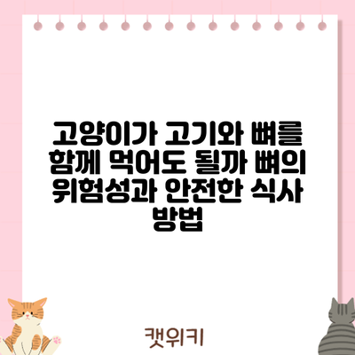 고양이가 고기와 뼈를 함께 먹어도 될까? 뼈의 위험성과 안전한 식사 방법