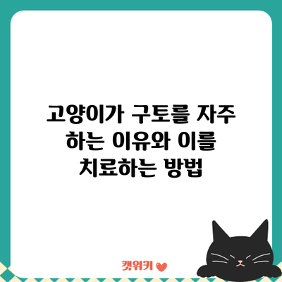 고양이가 구토를 자주 하는 이유와 이를 치료하는 방법