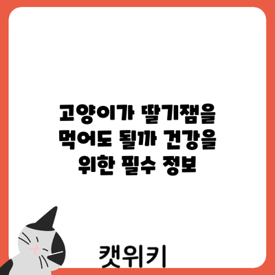 고양이가 딸기잼을 먹어도 될까? 건강을 위한 필수 정보
